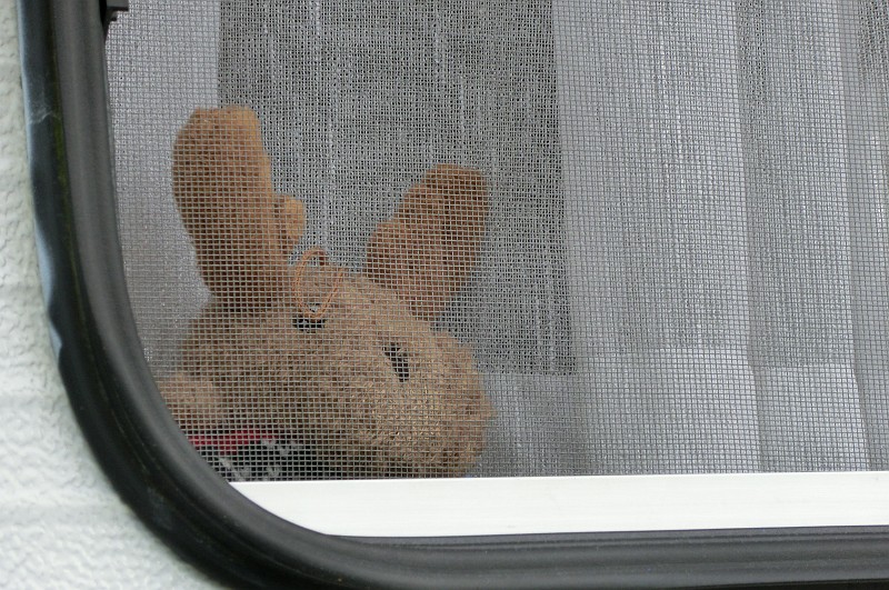 lüneburg--7.2013 (115).jpg